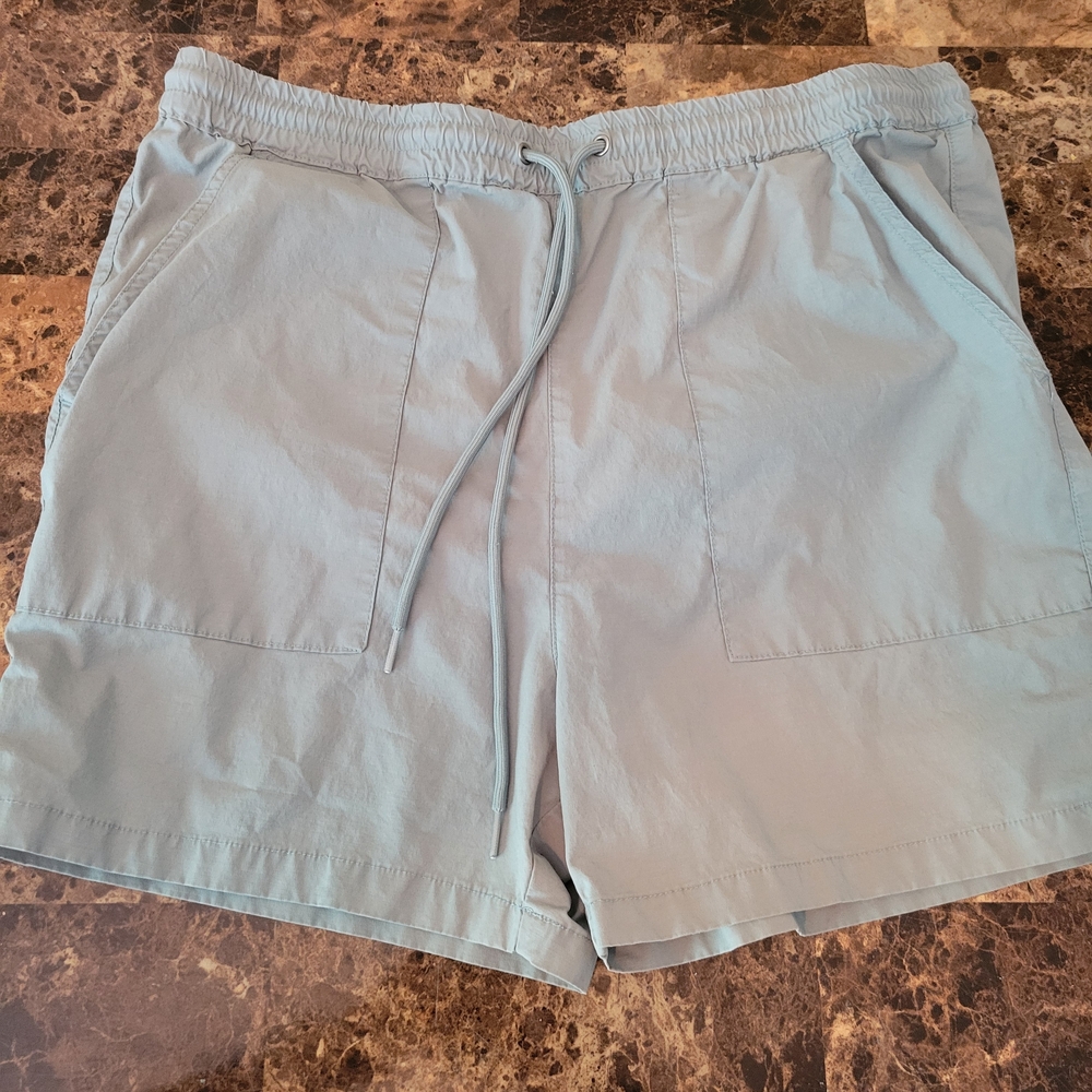 PacSun Sky Blue Athletic Men's Shorts